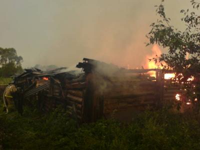 На пожаре в Кадомском районе погибли четыре коровы